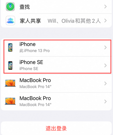 廉江苹廉江果维修网点分享iPhone如何查询序列号