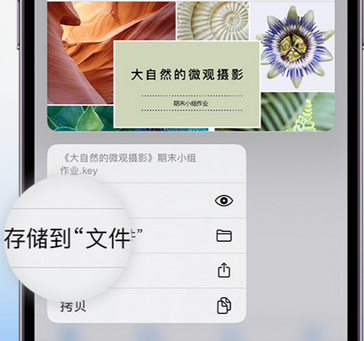 廉江apple维修中心分享iPhone文件应用中存储和找到下载文件