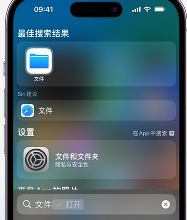 廉江apple维修中心分享iPhone文件应用中存储和找到下载文件 