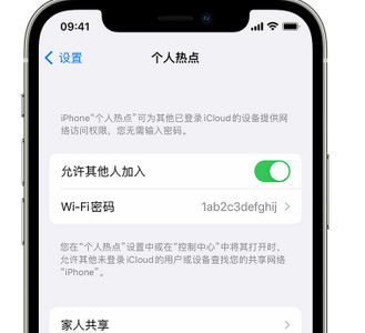 廉江apple服务站点分享iPhone上个人热点丢失了怎么办 