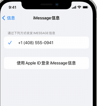 廉江apple维修iPhone上无法正常发送iMessage信息 