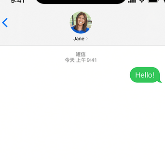 廉江apple维修iPhone上无法正常发送iMessage信息