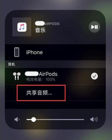 廉江苹果14音频维修点分享iPhone14音频共享设置方法 