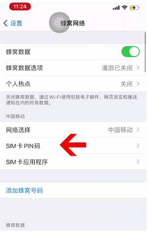 廉江苹果14维修网分享如何给iPhone14的SIM卡设置密码 