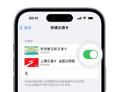 廉江apple维修点分享iPhone上更换Apple Pay快捷交通卡手绘卡面 