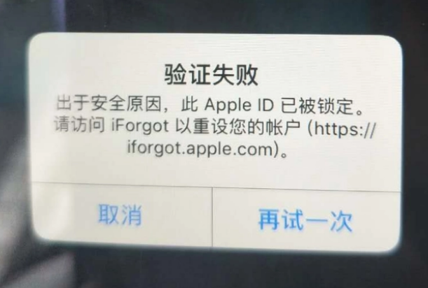 廉江iPhone维修分享iPhone上正常登录或使用AppleID怎么办 