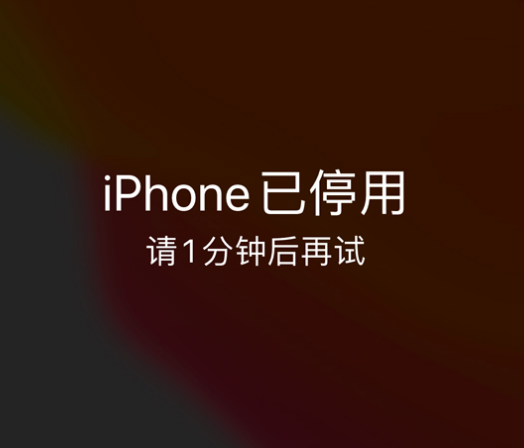 廉江苹果手机维修分享:iPhone 显示“不可用”或“已停用”怎么办？还能保留数据吗？ 