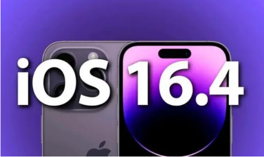 廉江苹果14维修分享：iPhone14可以升级iOS16.4beta2吗？ 