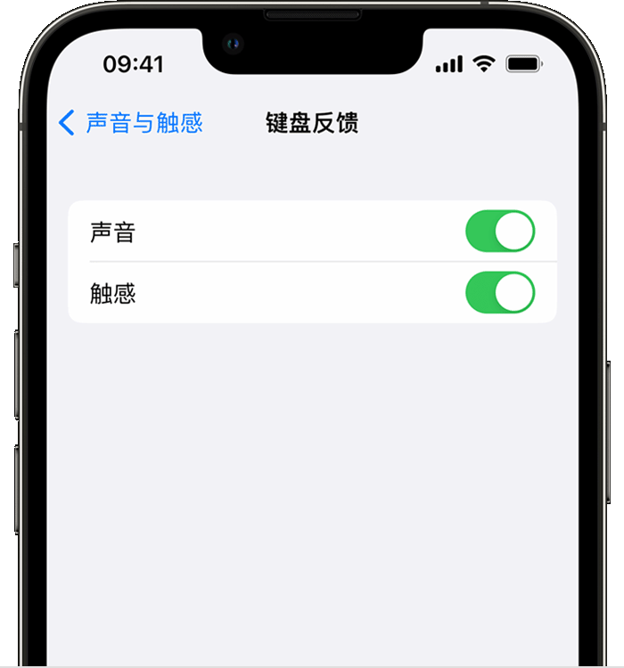 廉江苹果14维修店分享如何在 iPhone 14 机型中使用触感键盘 