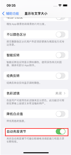 廉江苹果15维修店分享iPhone 15 Pro系列屏幕亮度 