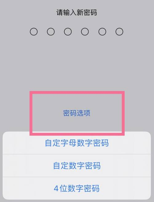 廉江苹果14维修分享iPhone 14plus设置密码的方法 