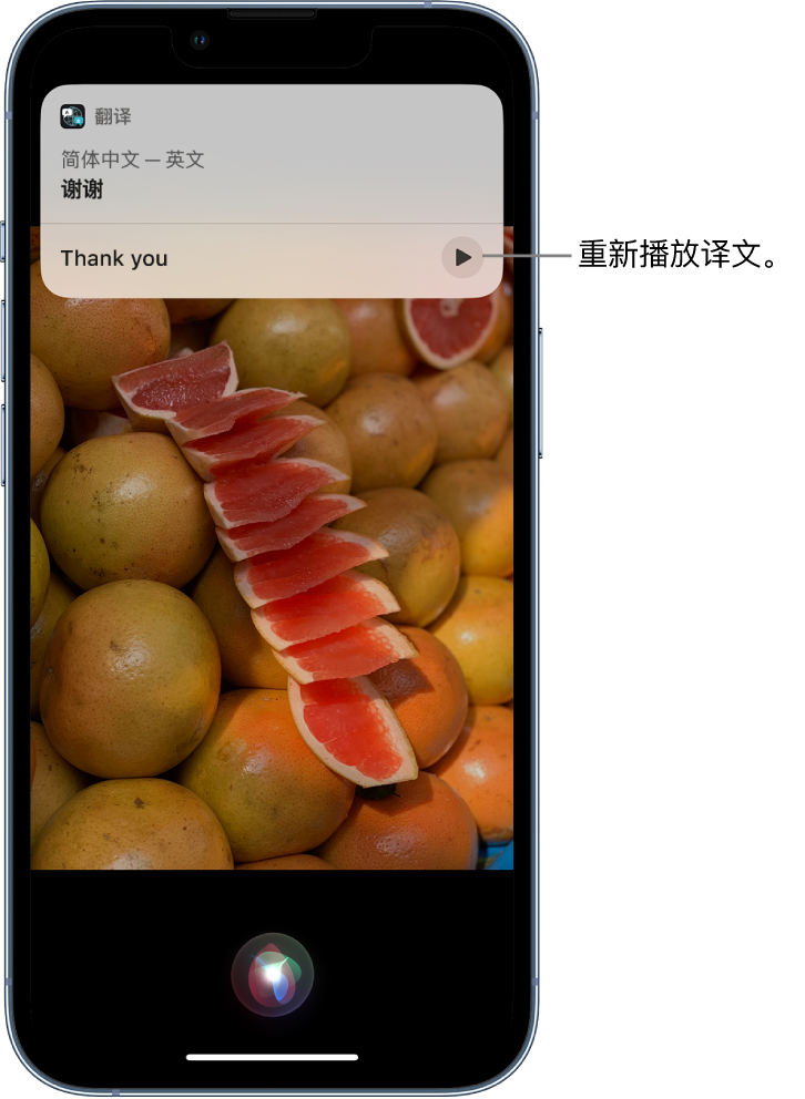 廉江苹果14维修分享 iPhone 14 机型中使用 Siri：了解 Siri 能帮你做什么 