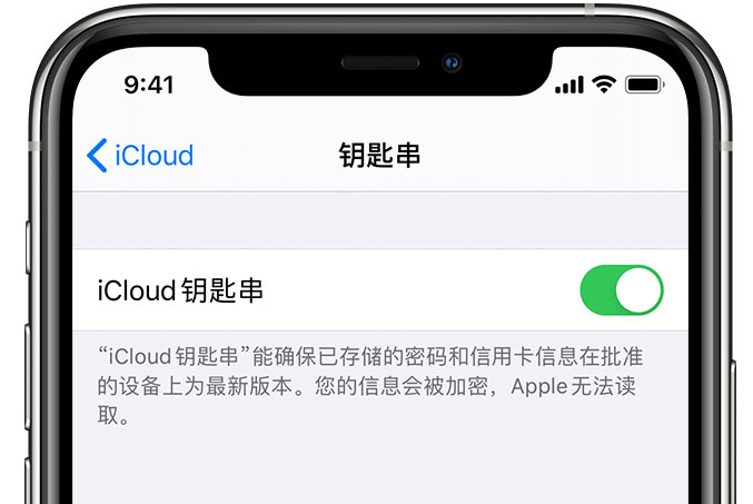 廉江苹果手机维修分享在 iPhone 上开启 iCloud 钥匙串之后会储存哪些信息 