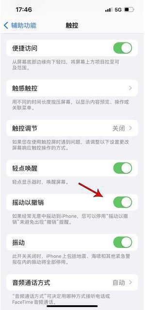 廉江苹果手机维修分享iPhone手机如何设置摇一摇删除文字 