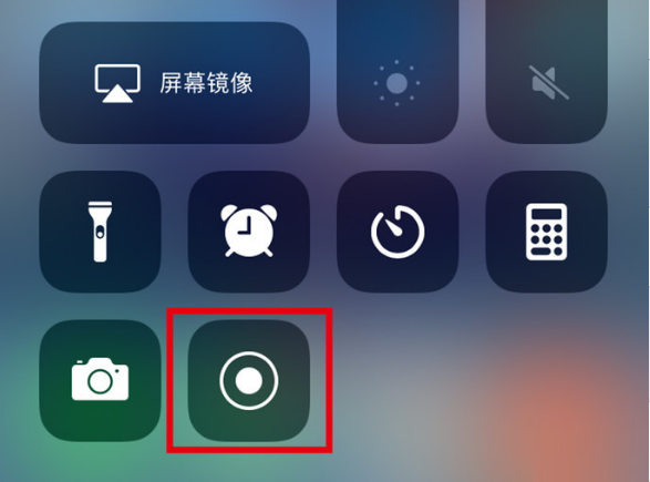 廉江苹果手机维修分享iPhone12录屏方法教程 