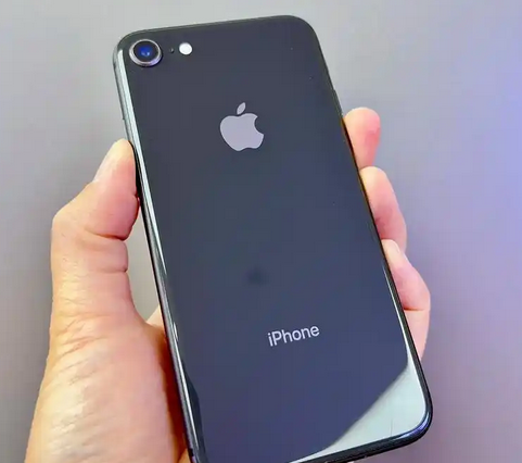 廉江苹果8系统维修分享iPhone8手机系统升级后无法开机如何修复 