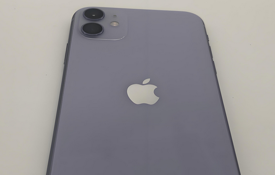 廉江苹果11系统维修分享iPhone11手机系统崩溃无法开机如何解决 
