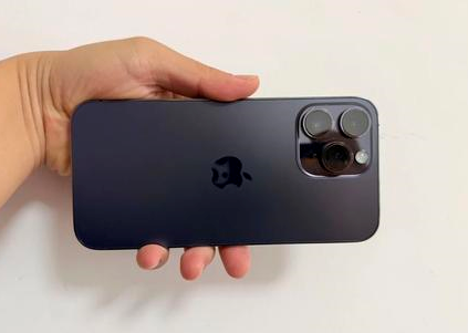 廉江苹果维修点分享iPhone 14 Pro Max黑屏少见故障盘点 