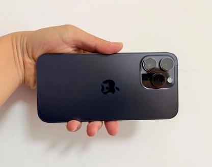 廉江苹果维修点分享iPhone 14 Pro Max发烫多重诱因剖析 